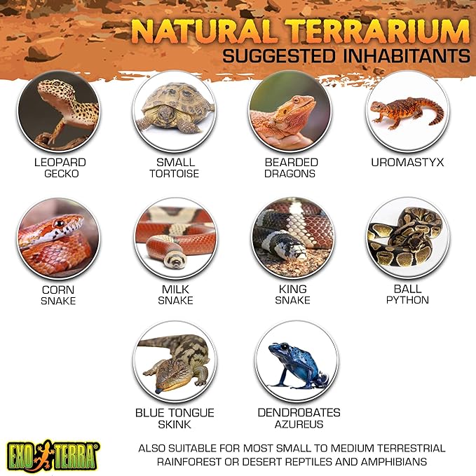 Exo Terra Glass Terrarium Kit, for Reptiles and Amphibians, Mini Tall, 12 x 12 x 18 inches, PT2602A1