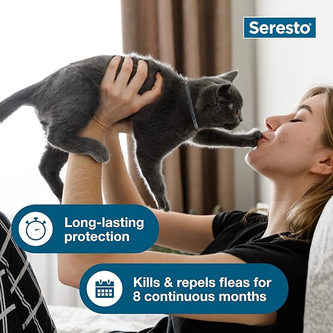 Seresto Cat Vet-Recommended Flea & Tick Treatment & Prevention Collar for Cats | 8 Months Protection