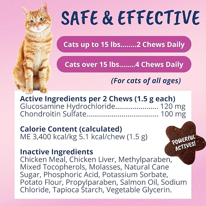 Under The Weather Pet Mobility Chews for Cats | Helps in Preventing Joint Issues | for Aging Cats Becoming Less Active | 60 Star Shaped Soft Chews