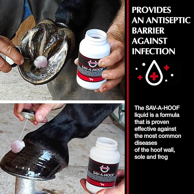 SBS Equine Treatment Against Hoof Illness in Horses | Built-in Dauber Applicator | Treat Entire Hoof (7.5 Fluid Oz)