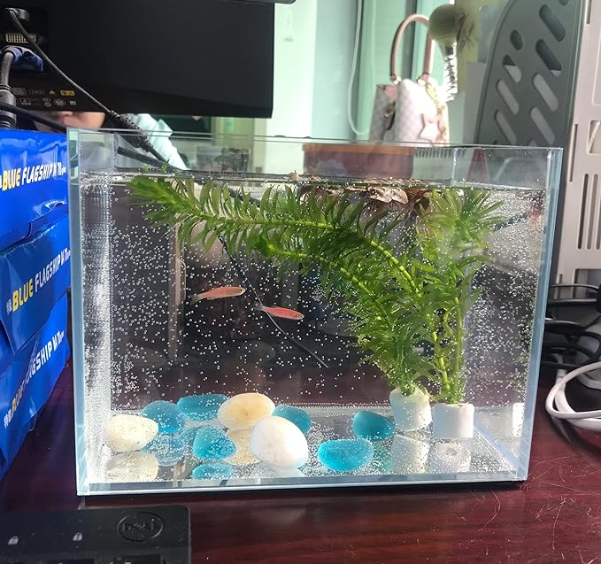 Small Nano Tall Rimless Tank, Small Glass Fish Tank, Small Betta Fish Tank, Small Aquarium, min Aquarium, Betta Tank (1.1Gallon 7.8x5.5x5.9inch/20x14x15cm)