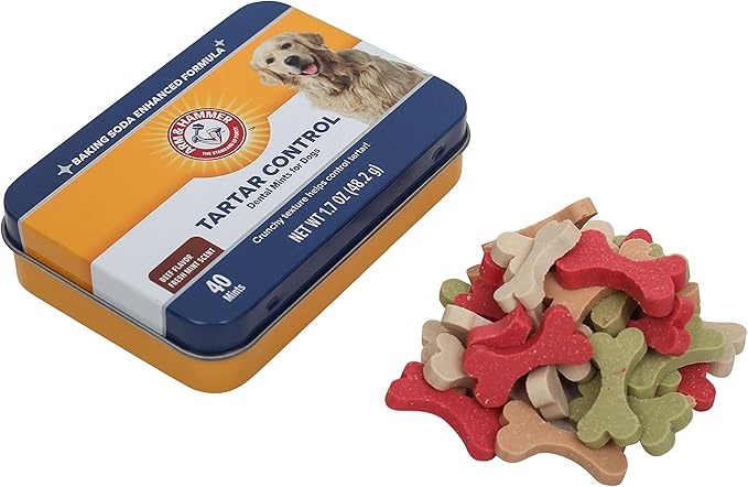 Arm & Hammer for Pets Tartar Control Dental Mints for Dogs Dog Dental Mints Reduce Plaque & Tartar Buildup for All Dogs Beef Flavor (Pack of 60)