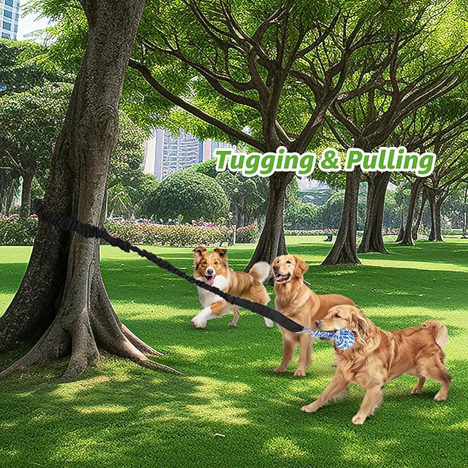 LOOBANI Dog Rope Toy Tug of War Dog Toy, Indoor Outdoor Use Bungee Tether Tug Toy, for Small Medium Large Dogs Interactive Dog Toy Tree Chew Training