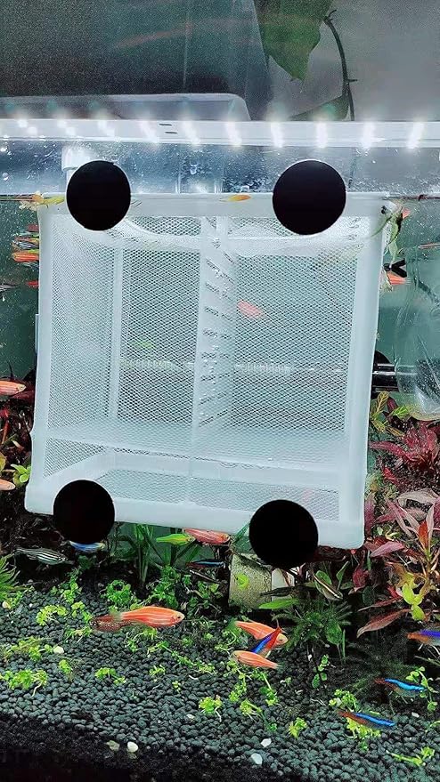 Fish Nursery for Aquarium-Fish，Aquarium Fish Breeder Box, Hatching Box, Juvenile Fish Spawning Incubator, Water Isolation Net Hatchery、Fish Isolation Box 16 x 14 x 15cm