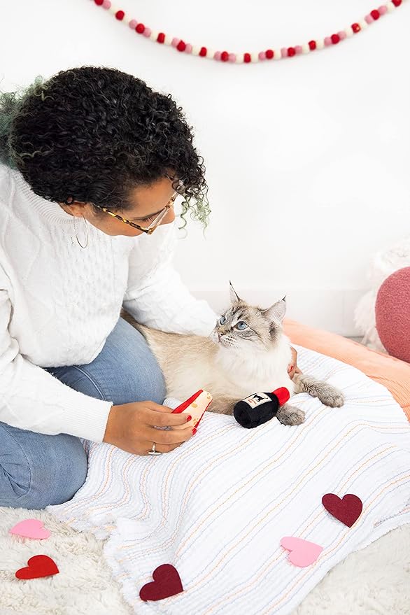 Pearhead Pet Cheese and Wine Plush Cat Toys, Set of 2, Wine and Cheese Catnip Toys, Crinkle Cat Toys, Cat Owner Valentine's Day Keepsake