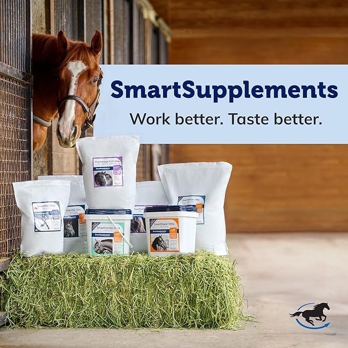 SmartPak Senior Support SmartPak | Prebiotics and Probiotics, Turmeric Supplement and Flax Seed for Digestive Health and Antioxidant Support for Senior Horses | Pre-Made, Sealed and Labeled Pack