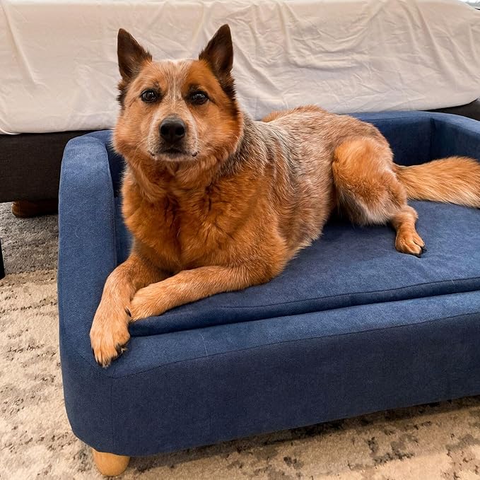 Critter Sitters 36-In. Microfiber Blue Rectangular Dog Couch for Medium-Sized Dogs, Modern and Stylish Elevated Dog Bed for Home or Apartment, Comfortable and Easy to Clean Dog Beds