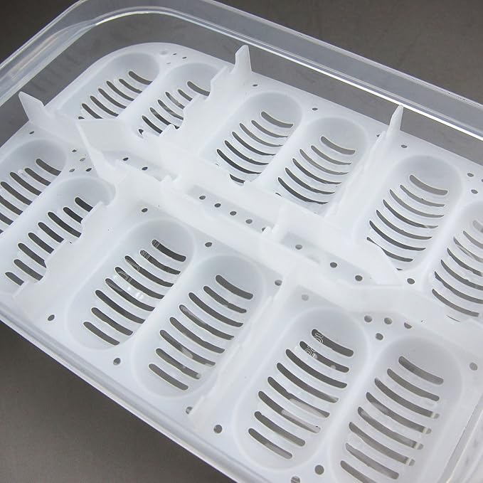 Alfie Pet - Bali Reptiles Egg Incubator Tray