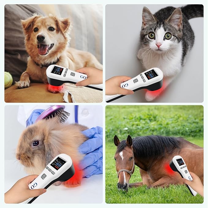 Cold Laser Therapy Device for Dogs, Laser Therapy Device for Pain Relief, 4x808nm+16x650nm, Low Level Laser Therapy for Horses Cats Accelerate Healing, Red Light Therapy for Pets, Equine, Animals