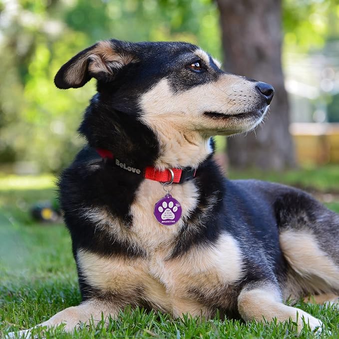 MYLUCKYTAG NFC & QR Code Smart Pet ID Tag Personalized Dog Cat Tag, Online Pet Profile, Pet Location Alert Email, Digital Pet Tag, Quiet Pet Tag, Durable Pet ID, Dog Collar Tag