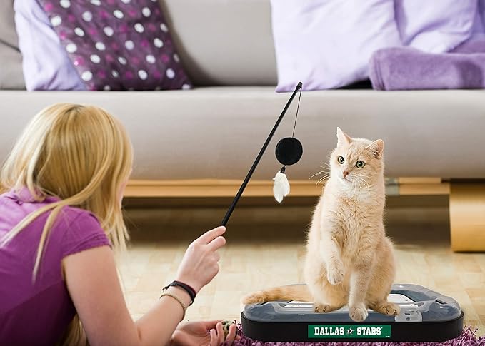 Pets First Cat Scratching Toy NHL Dallas Stars Hockey Field Cat Scratcher Tiy with Interactive Cat Ball Bell in Tracks. 5-in-1 CAT Toy