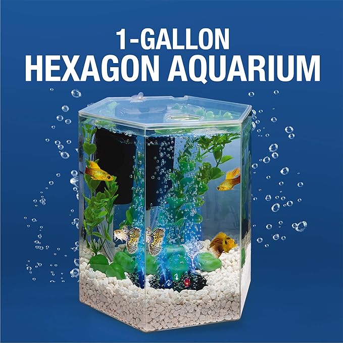 Tetra Bubbling LED Aquarium Kit 1 Gallon, Hexagon Shape, With Color-Changing Light Disc,Green (Packaging may vary)