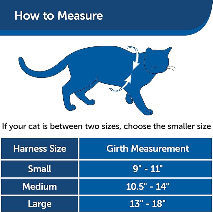 PetSafe Come with Me Kitty Harness and Bungee Leash, Harness for Cats, Small, Royal Blue/Navy