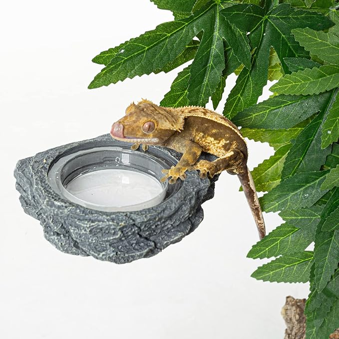 REPTIZOO Reptile Magnetic Feeder Ledge, Single Bowl Reptile Food Dish with 3PCS Feeding Cups Food Water Feeder for Crested Gecko Lizard Chameleon Pets