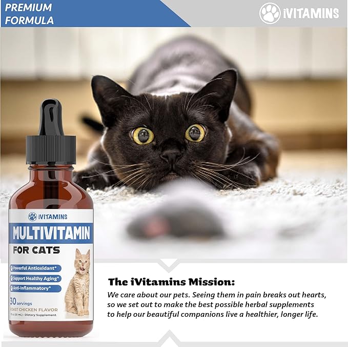 Cat Multivitamin - Supports Immune Health, Skin, Coat, Heart Health & More - Cat Vitamins - Cat Supplements & Vitamins - Cat Vitamins for Indoor Cats - Kitten Vitamins - Cat Immune Support - (2)