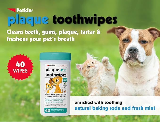 Petkin Cat and Dog Dental Wipes, 40 Wipes (Fresh Mint) - Natural Formula Cleans Teeth, Gums & Freshens Breath - for Daily Use - Convenient Dog Dental Care - 1 Pack of 40 Wipes