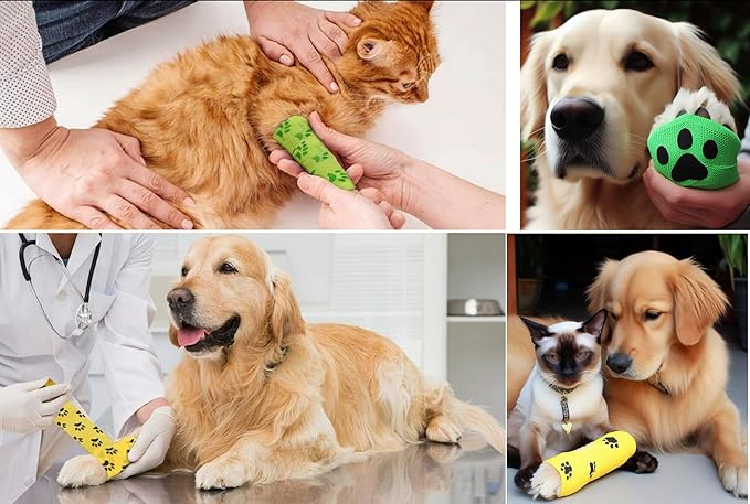 AURPET Self Adhesive Bandage Wrap Strong Vet Tape for Medical Wrap, Best Dog Bandages for Wounds or Dog First Aid Cohesive Bandage wrap Sports wrap Self Stick Bandage wrap (Green)