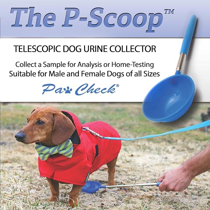 P-Scoop Dog Urine Collector - Reusable and Telescopic Dog Urine Catcher extends to 29"