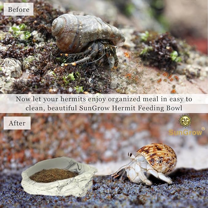 SunGrow Small Hermit Crab Feeding Bowl, for Turtle, Leopard & Crested Gecko, Ball Python, Durable, Multifunctional Decor, Serve as Climbing Toy or Drinking Bowl