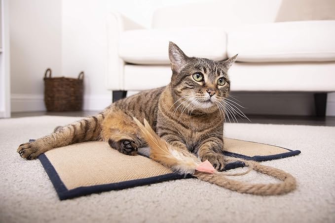 SmartyKat Clever Claws Carpet & Burlap Hanging Cat Scratch Mat - Brown/Gray with Blue Trim, One Size