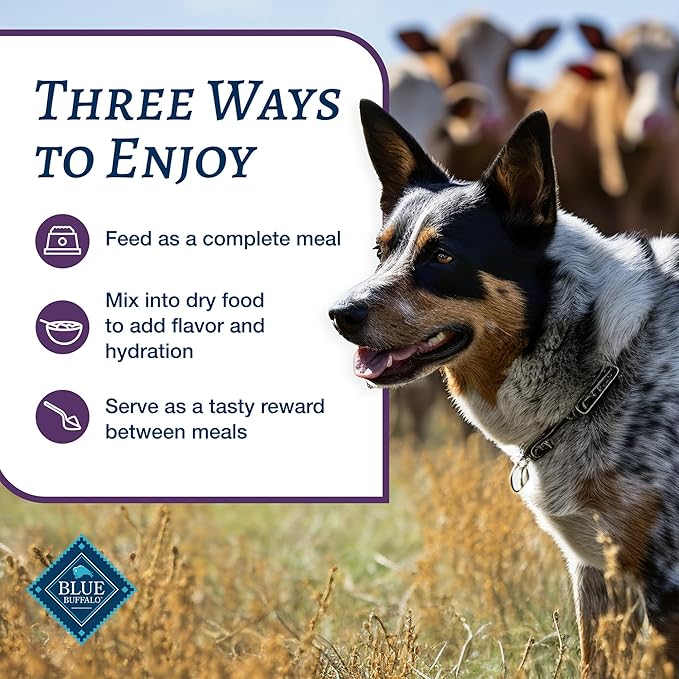 Blue Buffalo Family Favorites Adult Wet Dog Food, Made with Natural Ingredients, Shepherd's Pie, 12.5-oz. Can (Pack of 12)