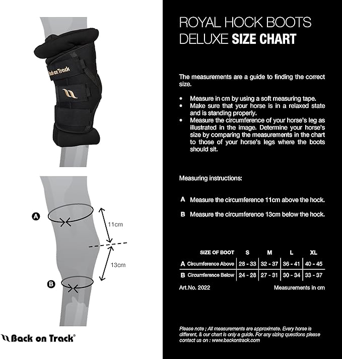 BACK ON TRACK Royal Padded Hock Boots Deluxe with Holes
