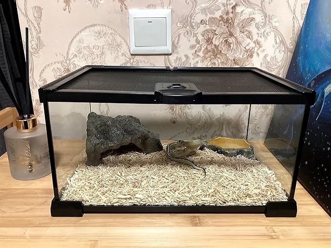 Mini Reptile Glass Terrarium Tank, cage for Tarantula Sling Geckos, Frog, Lizards, Chameleons,Turtles Snake Snail Insect Hermit Crab Isopods Reptiles Enclosure (12x8x6inch)