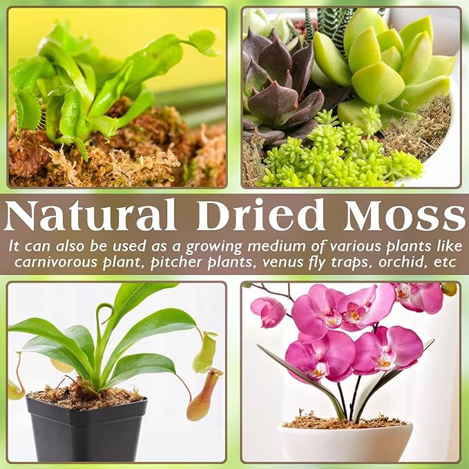ZeeDix 6OZ Sphagnum Moss for Reptiles, 8QT Premium Dried Moss for Terrarium Long Fibered Leopard Gecko Moss Natural Sphagnum Peat Moss Bedding for Frogs Anoles Snake Turtle Plants