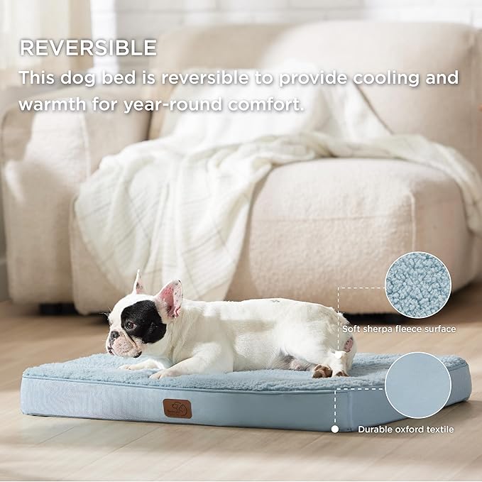 Bedsure Medium Dog Bed for Medium Dogs - Orthopedic Waterproof Dog Beds with Removable Washable Cover, Egg Crate Foam Pet Bed Mat, Suitable for Dogs Up to 50 lbs, Light Blue