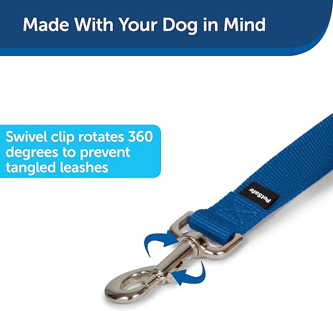 PetSafe Nylon Dog Leash - Strong, Durable, Traditional Style Leash with Easy to Use Bolt Snap - 1 in. x 6 ft., Royal Blue