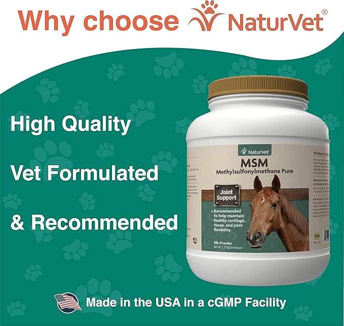 NaturVet MSM Pure Powder (Jar) 5 lbs. (1 Pack)