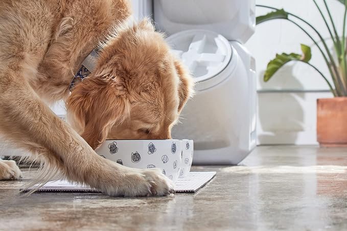 Pearhead Dog Faces Pet Bowl, Dog Water and Food Dish, Pet Owner Dog Accessory, Ceramic Dog Bowl, Microwave and Dishwasher Safe, Gray and White, Holds 9 Cups, Large