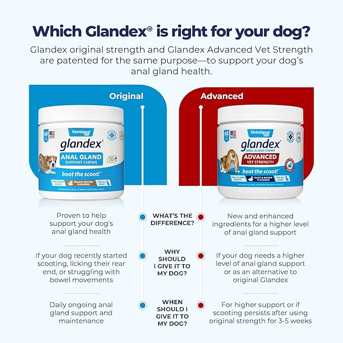 Glandex Anal Gland Soft Chew Treats with Pumpkin for Dogs Digestive Enzymes, Probiotics Fiber Supplement for Dogs Boot The Scoot (Advanced Strength Duck/Bacon Chews (Vegetarian), 30ct)