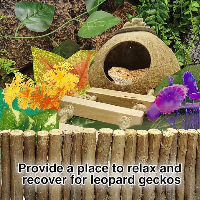 Hamiledyi Leopard Gecko Tank Accessories, Reptile Vines Plants with Coconut Shell Ladder Hideout Hut Hermit Crab Decor for Bearded Dragon Lizard Chameleon Tortoise Snake Play Rest