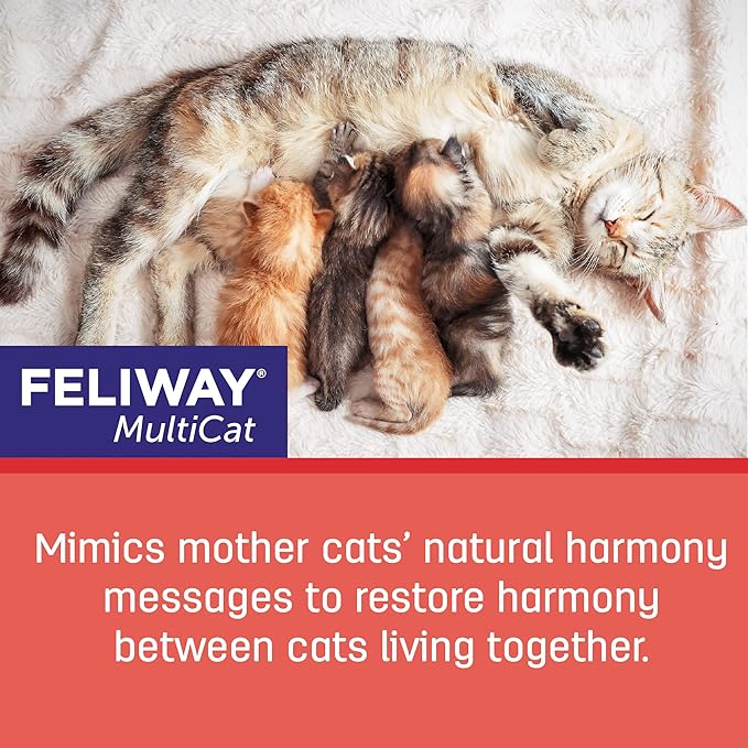 FELIWAY MultiCat Calming Pheromone Diffuser, 30 Day Starter Kit (48 mL)