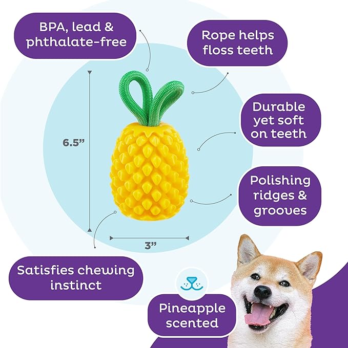 Outward Hound Dental Pineapple Dental Chew Toy and Interactive Treat Stuffer Durable Dog Toy Stuffable Dog Toy, Yellow