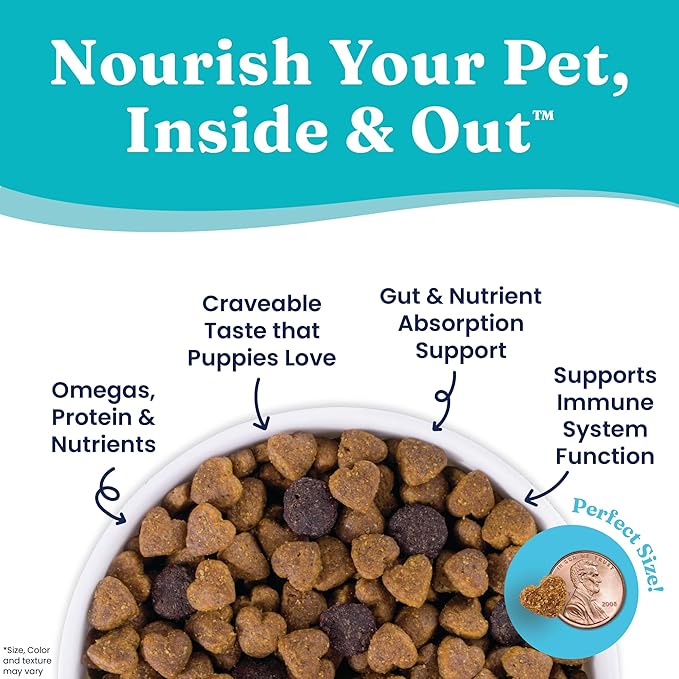 Solid Gold Dry Puppy Food w/Nutrientboost - Made with Real Chicken & Nutritious Superfoods - Love at First Bark Grain Free Puppy Dry Food for Healthy Growth, Energy and Gut Wellness - 22 LB Bag