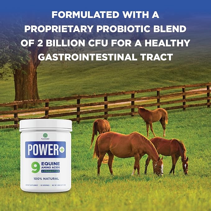 Power+ Horse Supplement (348g/0.77lbs - 60 Servings) - 9 Equine Amino Acids Plus Probiotics for Horses - No Added Sugar, No Soy, No Fillers - Horse Joint Support Supplement