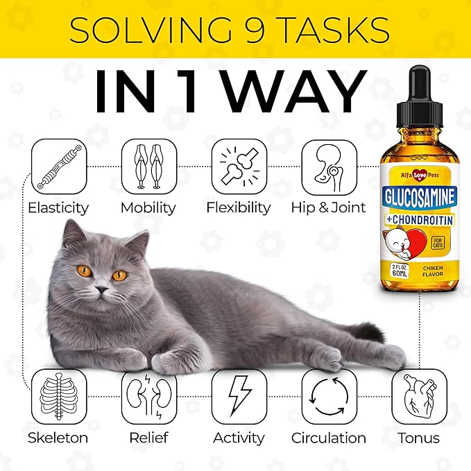 Glucosamine for Cats ✿ Cat Joint Supplement ✿ Cat Glucosamine ✿ Joint Supplement for Cats ✿ Glucosamine for Cats Liquid ✿ Glucosamine Chondroitin for Cats ✿ Chicken Flavor ✿ 2 Oz