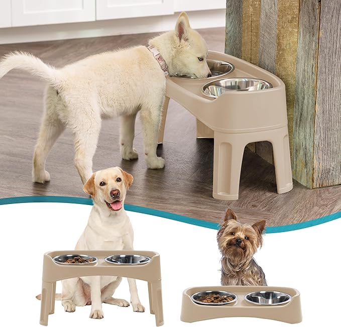 IRIS USA Elevated Dog Bowls, Adjustable Height, 2 Thick 64 oz Stainless Steel Bowls, Spill-Proof with Raised Outer Rim, Durable Made in USA Plastic, Easy Assemble, 2 Heights 4.63" or 12.25" Almond