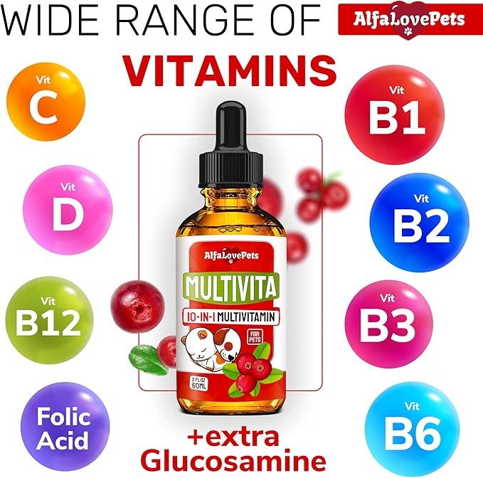 Dog Vitamins and Supplements ✿ Cat Multivitamin ✿ Cat and Dog Supplements & Vitamins ✿ Multivitamins for Dogs ✿ Hip & Joint Pet Vitamins ✿ Vitamin C for Dogs ✿ Vitamin B12 for Cats ✿ Made in USA ✿ 2Oz