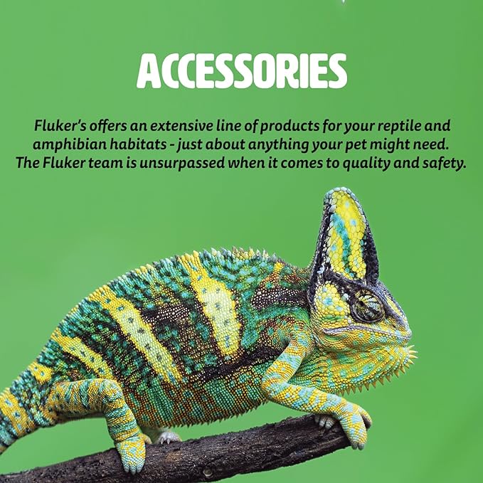 Fluker's Reptile Bowl, Extra Small