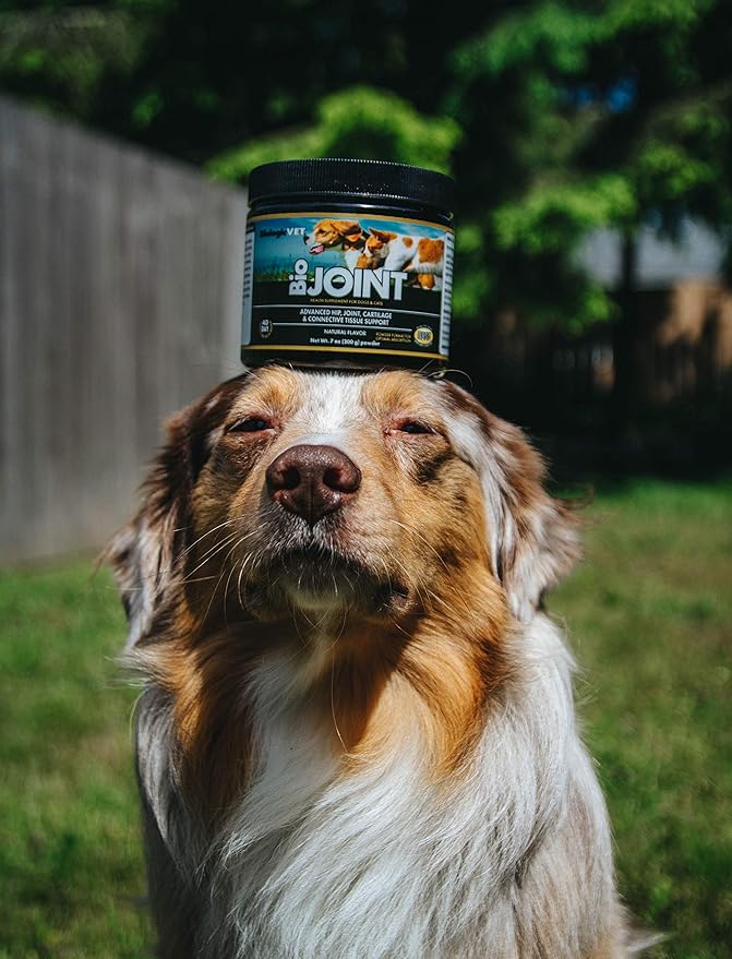 BioJOINT Advanced Joint Mobility Support, Advanced Hip, Joint, Cartilage & Connective Tissue Support, 53-Day Supply for 30-lb. Animal, 14-oz. Powder
