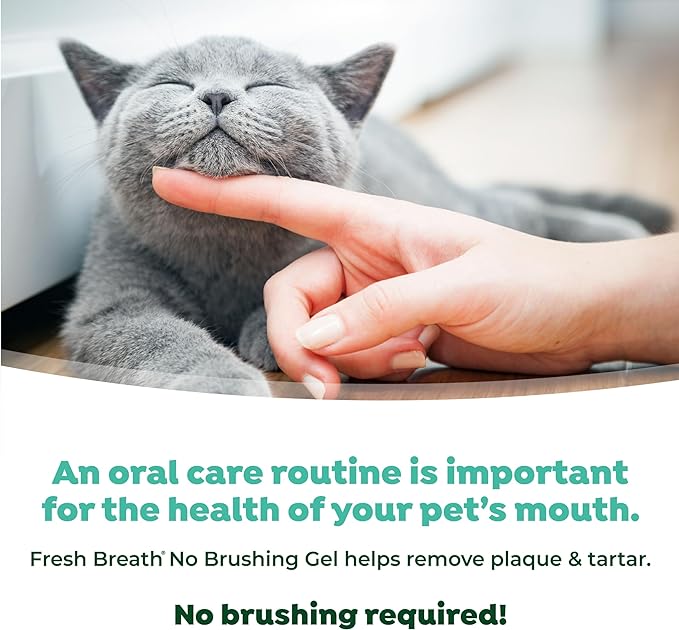 TropiClean No Brush Cat Toothpaste | Cat Dental Gel | Bad Breath Remedy | Cat Dental Care | Made in the USA | 2.2 oz.  