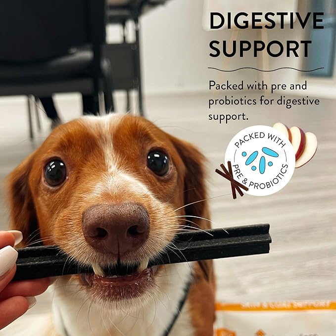 Shameless Pets Dental Treats for Dogs, A Cluck A Day - Healthy Dental Sticks with Digestive Support for Teeth Cleaning & Fresh Breath - Dog Bones Dental Chews Free from Grain, Corn & Soy