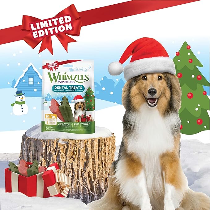 Whimzees by Wellness Holiday Natural Grain Free Dental Chews for Dogs, Medium Breed, 6 count