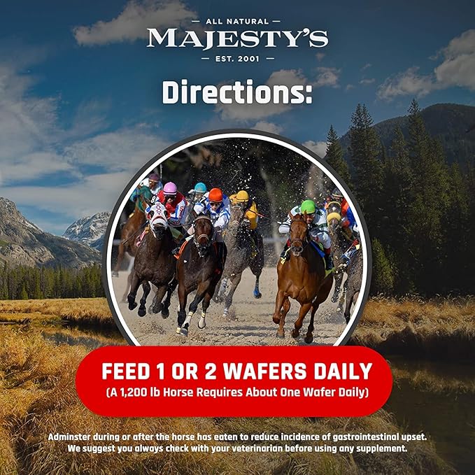 Majesty's Flex XT Wafers - Superior Horse/Equine Joint Support with Increased Supplement Levels - Glucosamine, MSM, Yucca, Vitamin C (Peppermint, 60 Count)