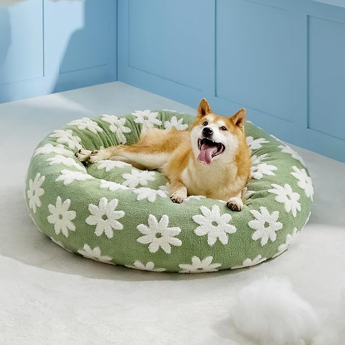 Lesure Donut Small Dog Bed - Round Cat Beds for Indoor Cats Anti-Anxiety Calming Pet Beds, Washable Cute Modern Beds with Teddy Sherpa Plush & Anti Slip Bottom Green