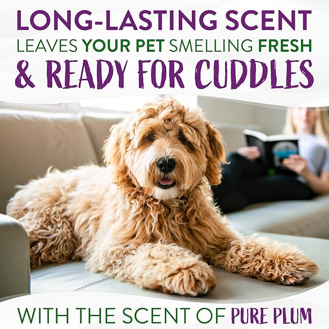 TropiClean Pure Plum Dog Perfume Spray Long Lasting | Naturally Derived Odor Removing Dog Deodorizing Spray | Cat Friendly | Made in USA | 8 oz.