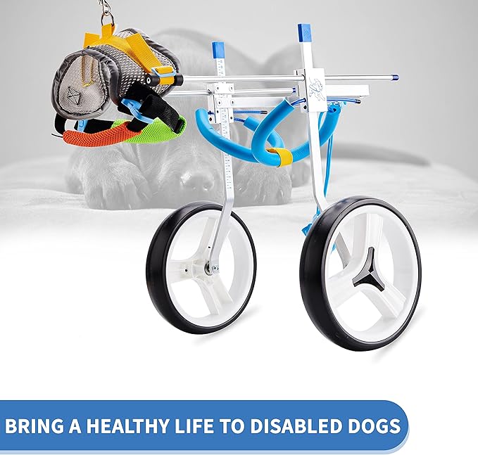 Adjustable Dog Wheelchair for Back Legs| Pet Wheelchairs with Disabled Hind Legs Walking|Stabel & Light Weight (7-Size) (M)